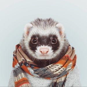 Meet your Posher, Jay